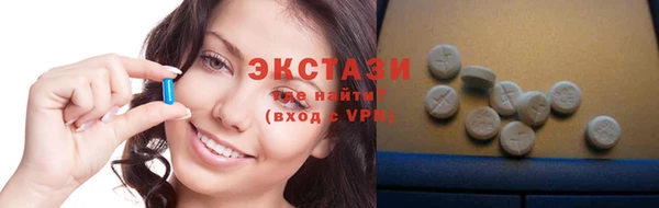 гидра Няндома