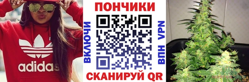 Каннабис SATIVA & INDICA  ОМГ ОМГ вход  Мариинск 